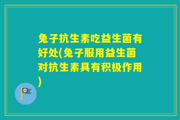兔子抗生素吃益生菌有好处(兔子服用益生菌对抗生素具有积极作用)