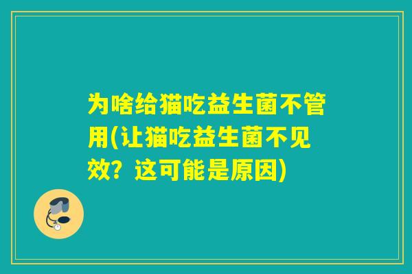为啥给猫吃益生菌不管用(让猫吃益生菌不见效？这可能是原因)