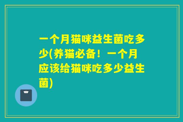 一个月猫咪益生菌吃多少(养猫必备！一个月应该给猫咪吃多少益生菌)