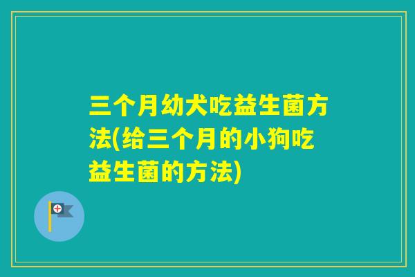 三个月幼犬吃益生菌方法(给三个月的小狗吃益生菌的方法)