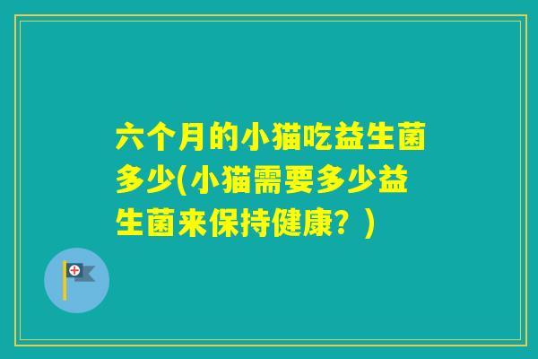 六个月的小猫吃益生菌多少(小猫需要多少益生菌来保持健康？)