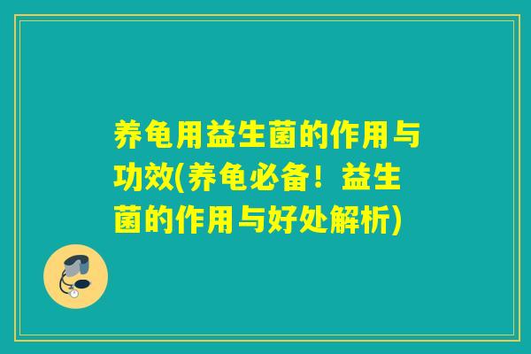 养龟用益生菌的作用与功效(养龟必备！益生菌的作用与好处解析)