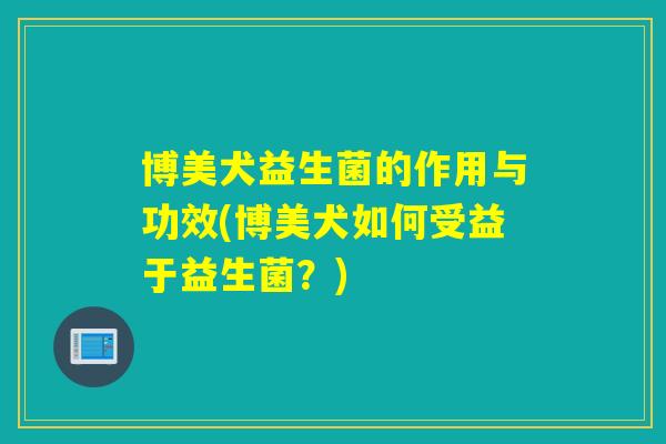博美犬益生菌的作用与功效(博美犬如何受益于益生菌？)