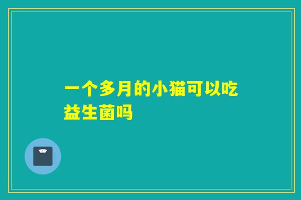 一个多月的小猫可以吃益生菌吗 一个多月的小猫可以吃益生菌吗