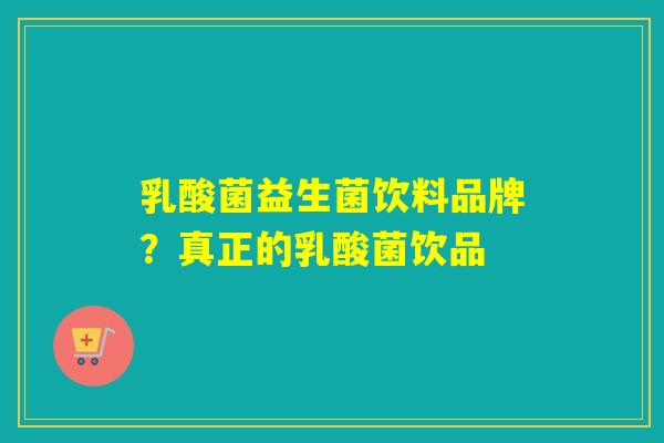 乳酸菌益生菌饮料品牌？真正的乳酸菌饮品