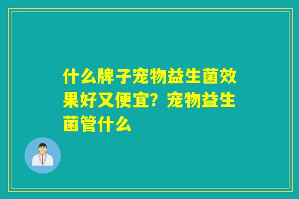 什么牌子宠物益生菌效果好又便宜?宠物益生菌管什么 什么牌子宠物益生菌效果好又便宜?宠物益生菌管什么