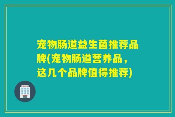 宠物肠道益生菌推荐品牌(宠物肠道营养品，这几个品牌值得推荐)