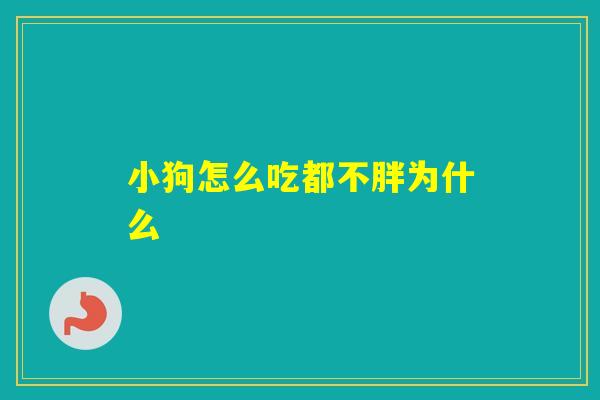 小狗怎么吃都不胖为什么