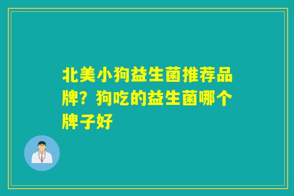 北美小狗益生菌推荐品牌?狗吃的益生菌哪个牌子好 北美小狗益生菌推荐品牌?狗吃的益生菌哪个牌子好