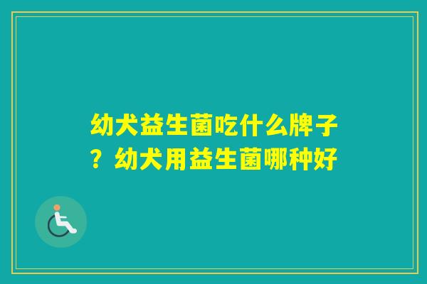 幼犬益生菌吃什么牌子？幼犬用益生菌哪种好