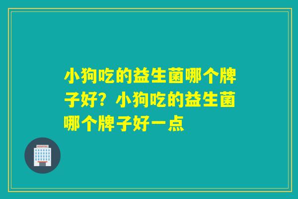 小狗吃的益生菌哪个牌子好？小狗吃的益生菌哪个牌子好一点