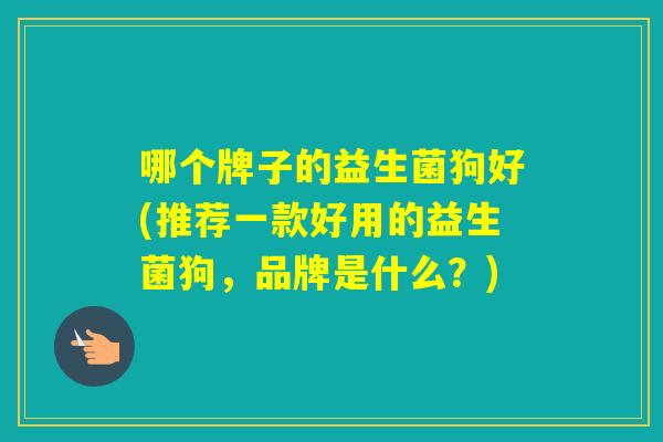 哪个牌子的益生菌狗好(推荐一款好用的益生菌狗，品牌是什么？)