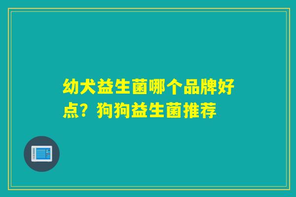 幼犬益生菌哪个品牌好点？狗狗益生菌推荐