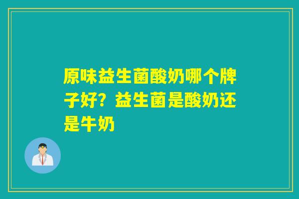 原味益生菌酸奶哪个牌子好？益生菌是酸奶还是牛奶