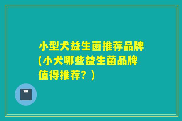 小型犬益生菌推荐品牌(小犬哪些益生菌品牌值得推荐？)