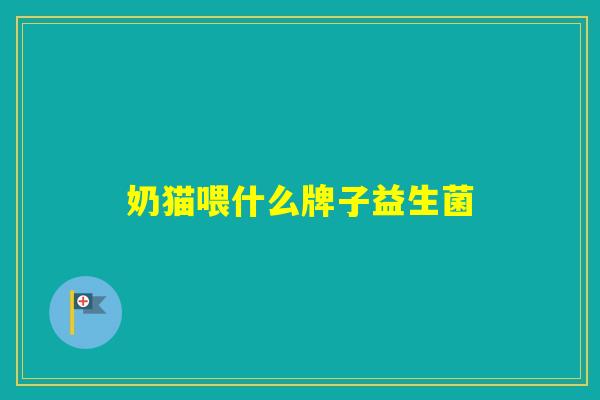奶猫喂什么牌子益生菌