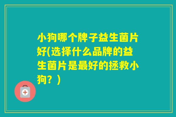 小狗哪个牌子益生菌片好(选择什么品牌的益生菌片是好的拯救小狗？)