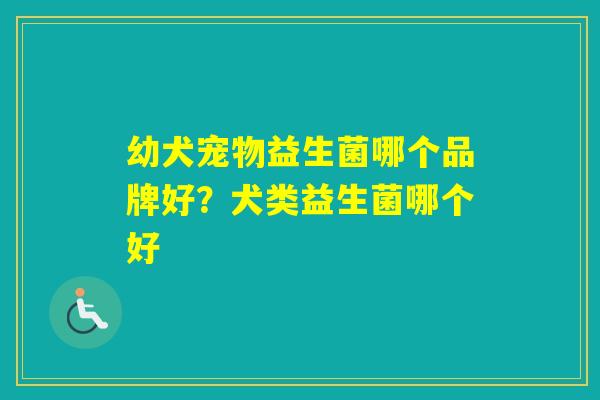幼犬宠物益生菌哪个品牌好？犬类益生菌哪个好