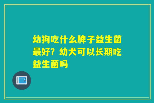 幼狗吃什么牌子益生菌好?幼犬可以长期吃益生菌吗 幼狗吃什么牌子益生菌好?幼犬可以长期吃益生菌吗