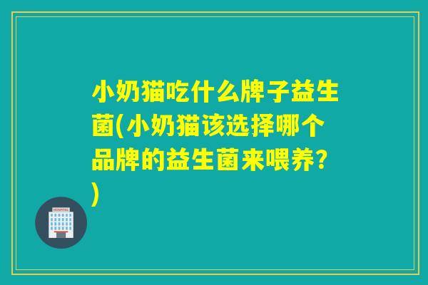 小奶猫吃什么牌子益生菌(小奶猫该选择哪个品牌的益生菌来喂养?) 小奶猫吃什么牌子益生菌(小奶猫该选择哪个品牌的益生菌来喂养?)