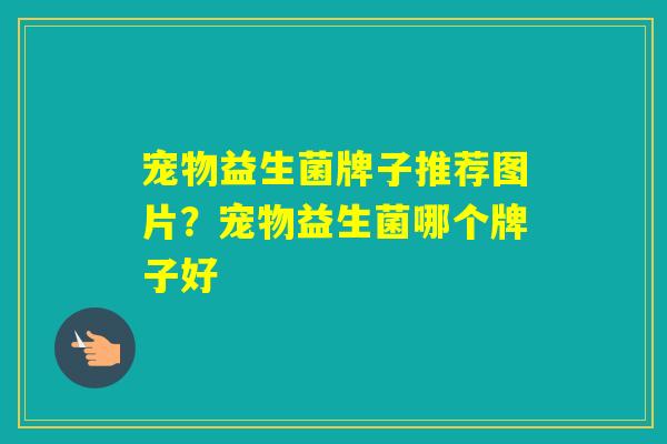 宠物益生菌牌子推荐图片？宠物益生菌哪个牌子好