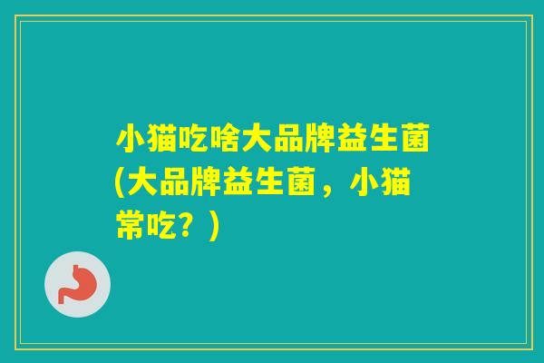 小猫吃啥大品牌益生菌(大品牌益生菌,小猫常吃?) 小猫吃啥大品牌益生菌(大品牌益生菌,小猫常吃?)