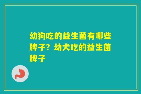 幼狗吃的益生菌有哪些牌子?幼犬吃的益生菌牌子 幼狗吃的益生菌有哪些牌子?幼犬吃的益生菌牌子