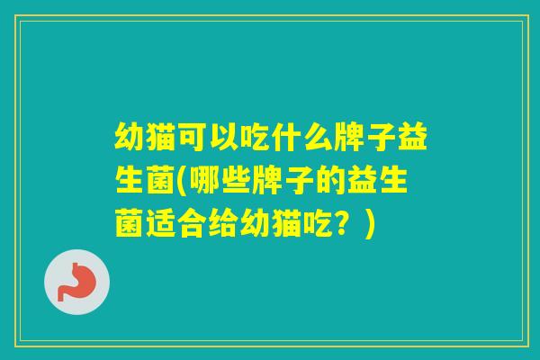 幼猫可以吃什么牌子益生菌(哪些牌子的益生菌适合给幼猫吃？)