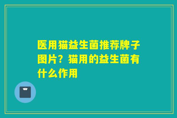 医用猫益生菌推荐牌子图片？猫用的益生菌有什么作用