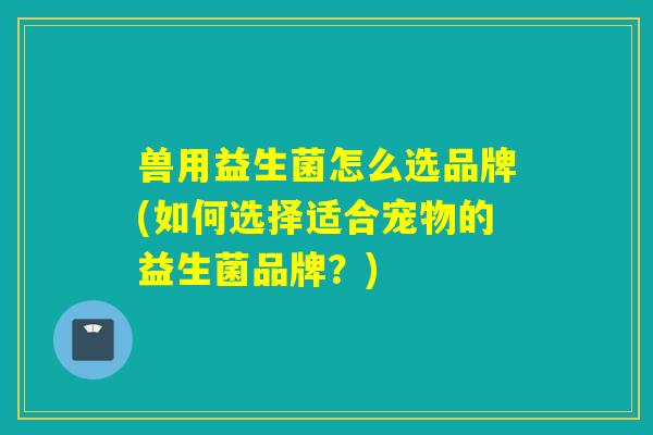 兽用益生菌怎么选品牌(如何选择适合宠物的益生菌品牌?) 兽用益生菌怎么选品牌(如何选择适合宠物的益生菌品牌?)
