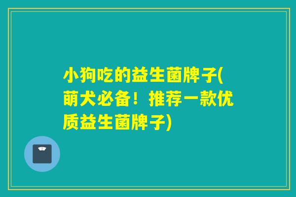 小狗吃的益生菌牌子(萌犬必备！推荐一款优质益生菌牌子)