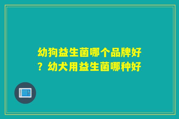 幼狗益生菌哪个品牌好?幼犬用益生菌哪种好 幼狗益生菌哪个品牌好?幼犬用益生菌哪种好