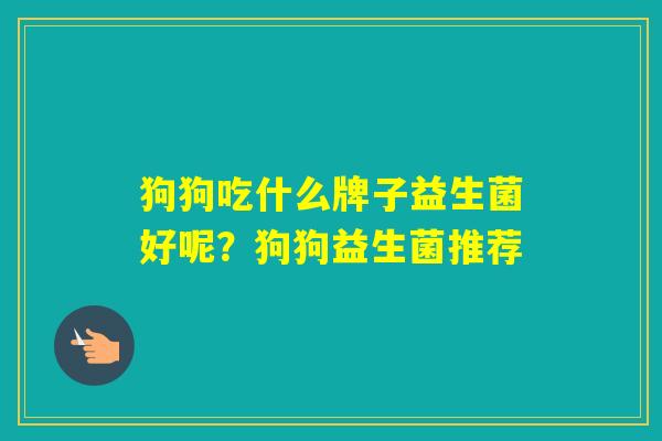 狗狗吃什么牌子益生菌好呢?狗狗益生菌推荐 狗狗吃什么牌子益生菌好呢?狗狗益生菌推荐