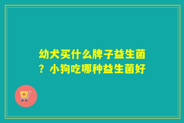 幼犬买什么牌子益生菌?小狗吃哪种益生菌好 幼犬买什么牌子益生菌?小狗吃哪种益生菌好