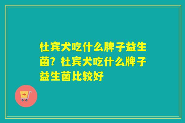 杜宾犬吃什么牌子益生菌?杜宾犬吃什么牌子益生菌比较好 杜宾犬吃什么牌子益生菌?杜宾犬吃什么牌子益生菌比较好
