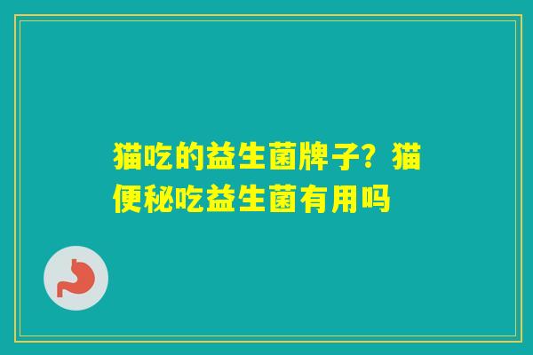 猫吃的益生菌牌子?猫吃益生菌有用吗 猫吃的益生菌牌子?猫吃益生菌有用吗