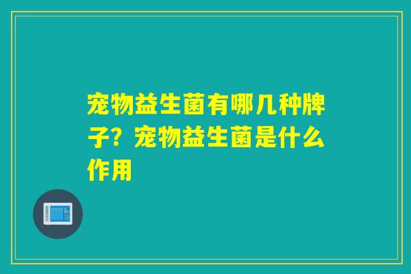 宠物益生菌有哪几种牌子?宠物益生菌是什么作用 宠物益生菌有哪几种牌子?宠物益生菌是什么作用