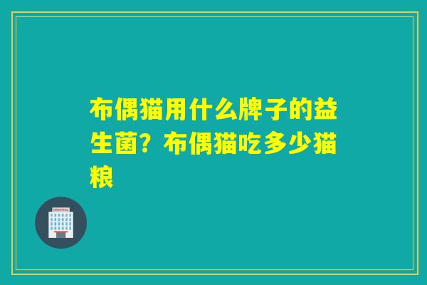 布偶猫用什么牌子的益生菌?布偶猫吃多少猫粮 布偶猫用什么牌子的益生菌?布偶猫吃多少猫粮