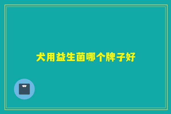 犬用益生菌哪个牌子好 犬用益生菌哪个牌子好