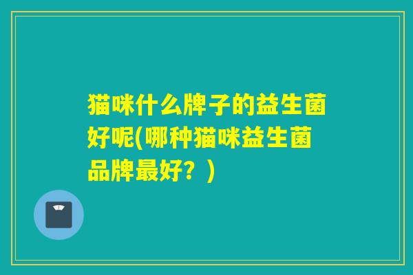 猫咪什么牌子的益生菌好呢(哪种猫咪益生菌品牌好?) 猫咪什么牌子的益生菌好呢(哪种猫咪益生菌品牌好?)