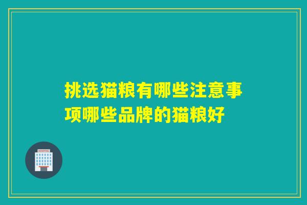 挑选猫粮有哪些注意事项哪些品牌的猫粮好 挑选猫粮有哪些注意事项哪些品牌的猫粮好