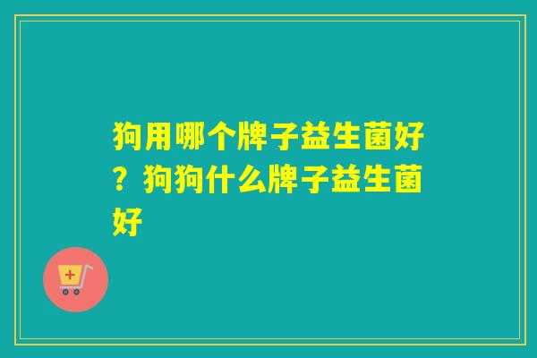 狗用哪个牌子益生菌好?狗狗什么牌子益生菌好 狗用哪个牌子益生菌好?狗狗什么牌子益生菌好