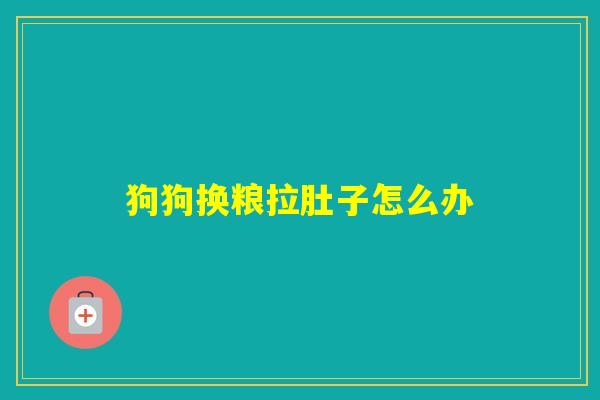 狗狗换粮拉肚子怎么办
