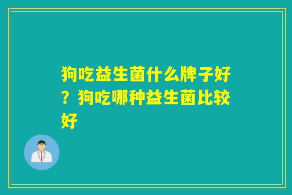 狗吃益生菌什么牌子好?狗吃哪种益生菌比较好 狗吃益生菌什么牌子好?狗吃哪种益生菌比较好