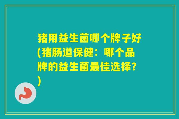 猪用益生菌哪个牌子好(猪肠道保健：哪个品牌的益生菌佳选择？)