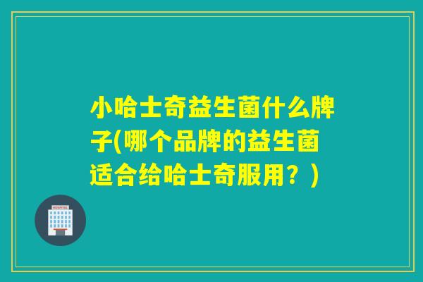 小哈士奇益生菌什么牌子(哪个品牌的益生菌适合给哈士奇服用？)