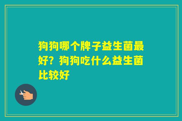 狗狗哪个牌子益生菌好?狗狗吃什么益生菌比较好 狗狗哪个牌子益生菌好?狗狗吃什么益生菌比较好