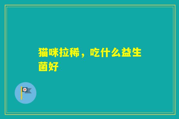 猫咪拉稀,吃什么益生菌好 猫咪拉稀,吃什么益生菌好