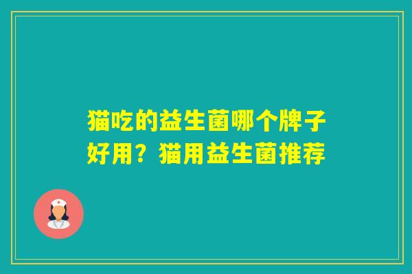 猫吃的益生菌哪个牌子好用？猫用益生菌推荐