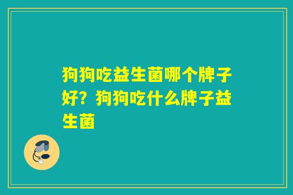 狗狗吃益生菌哪个牌子好?狗狗吃什么牌子益生菌 狗狗吃益生菌哪个牌子好?狗狗吃什么牌子益生菌